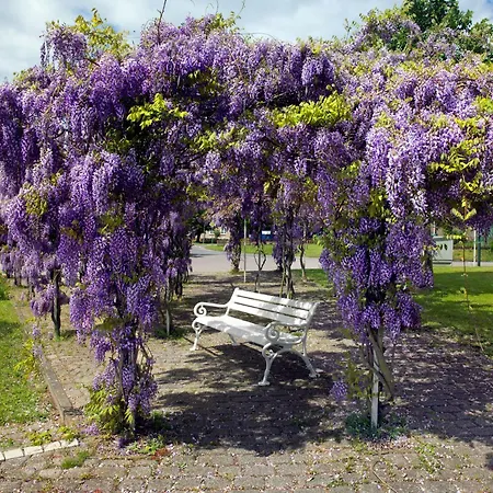 Apartment Mann Un Fru - Residenz Am Yachthafen *