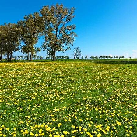 Mann Un Fru - Residenz Am Yachthafen Apartment